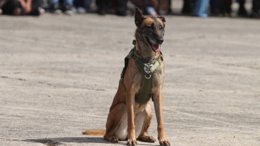 Fotos Guatemaltecos disfrutan espectáculo aéreo en la FAG | Álex Meoñó