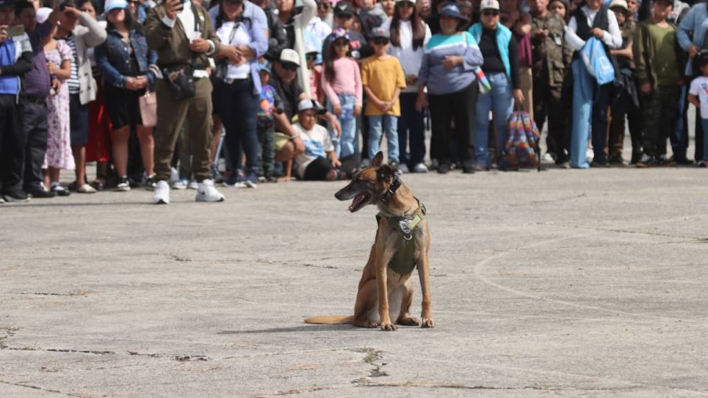 Fotos Guatemaltecos disfrutan espectáculo aéreo en la FAG | Álex Meoñó