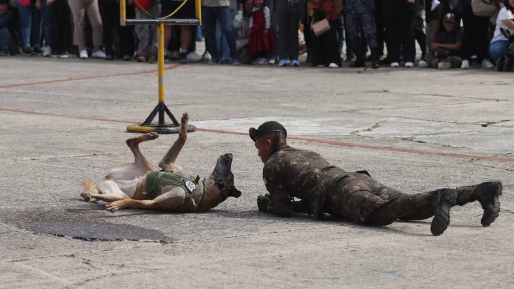Fotos Guatemaltecos disfrutan espectáculo aéreo en la FAG | Álex Meoñó