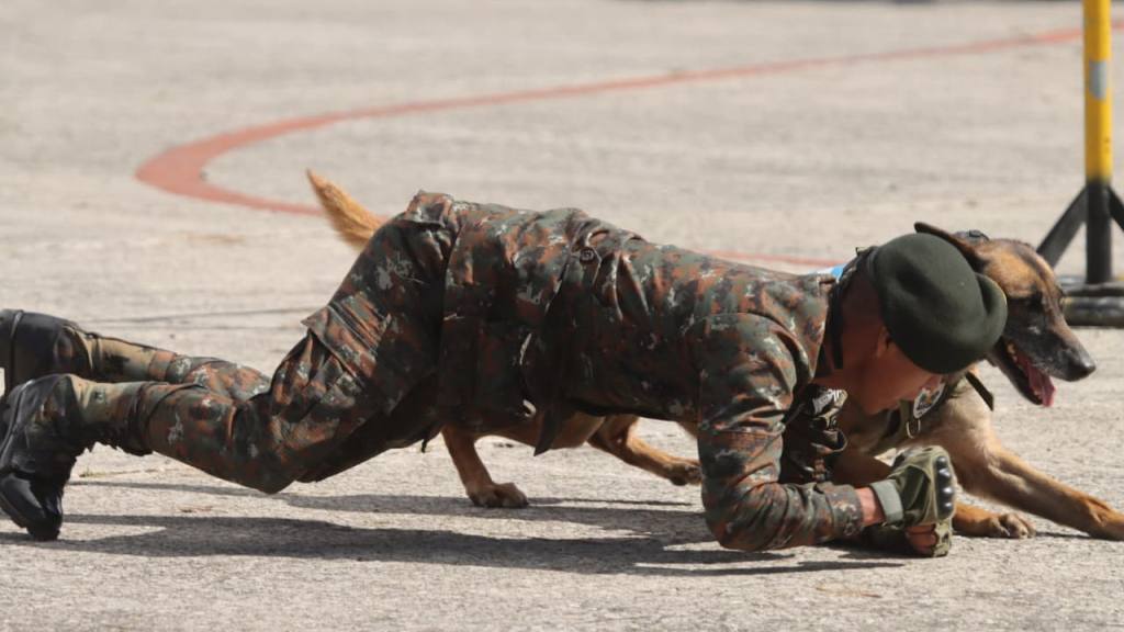 Fotos Guatemaltecos disfrutan espectáculo aéreo en la FAG | Álex Meoñó