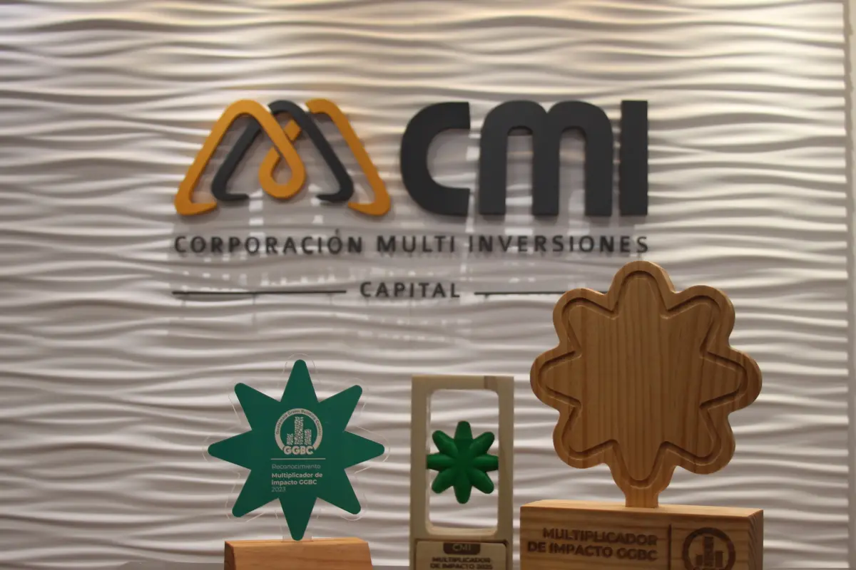 CMI Multiplicador de Impacto, CMI