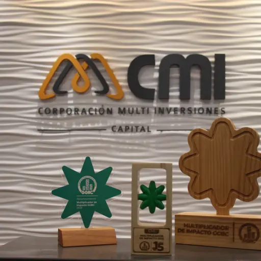 CMI Multiplicador de Impacto ,CMI