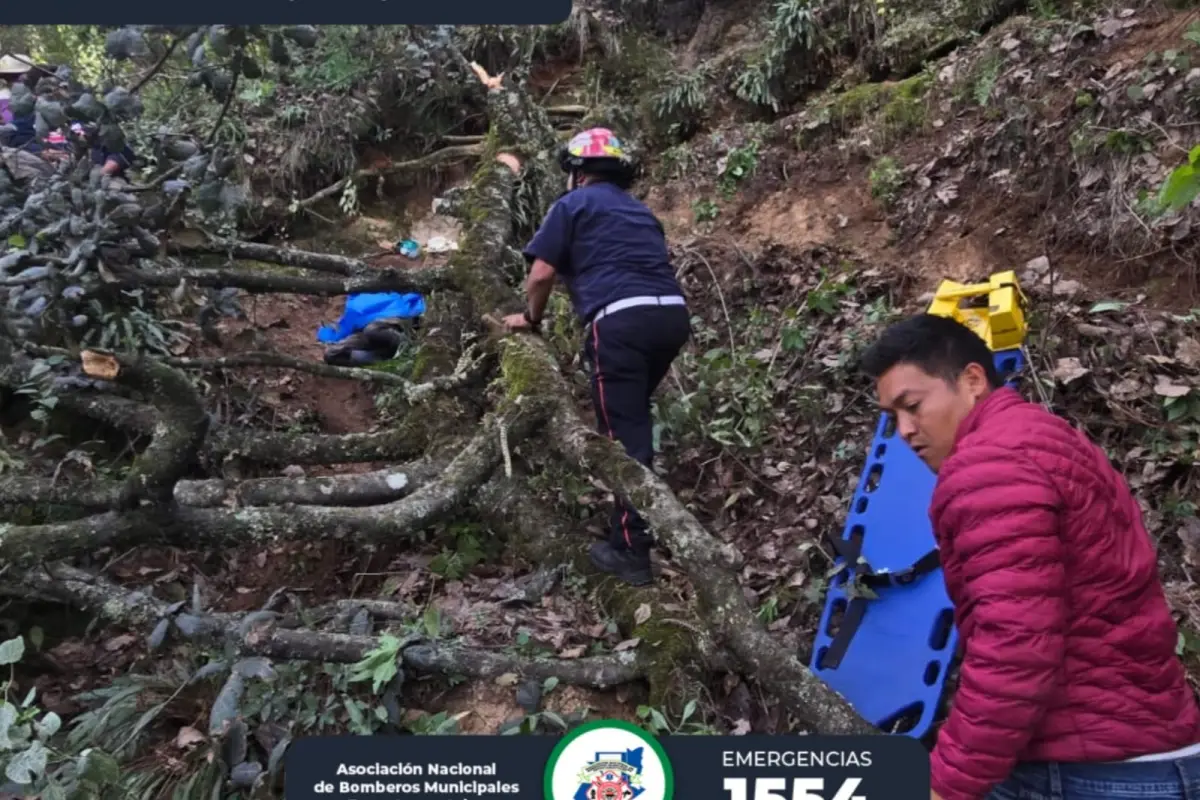 Hombre muere al caerle un árbol en Tejutla, San Marcos