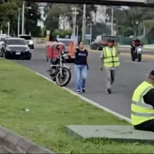 Imagen con fines ilustrativos.  ,Captura de pantalla video TikTok.