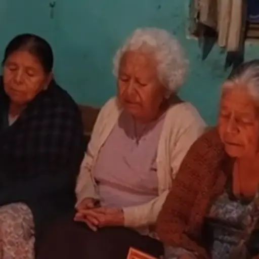 Video acumula más de 5 millones de reproducciones.  ,Captura de pantalla video TikTok.