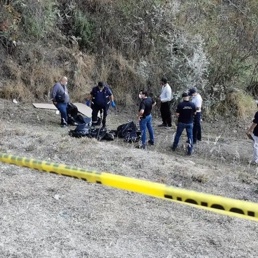 Restos humanos. ,Redes sociales.