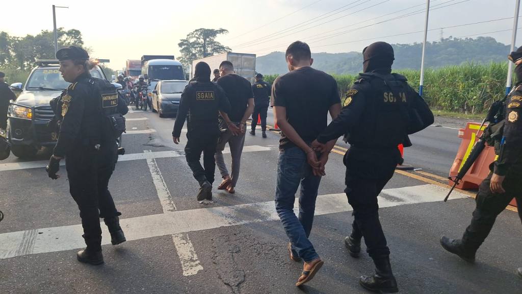 Decomisan 39 kilos de marihuana ocultos entre plátanos | PNC y MP.