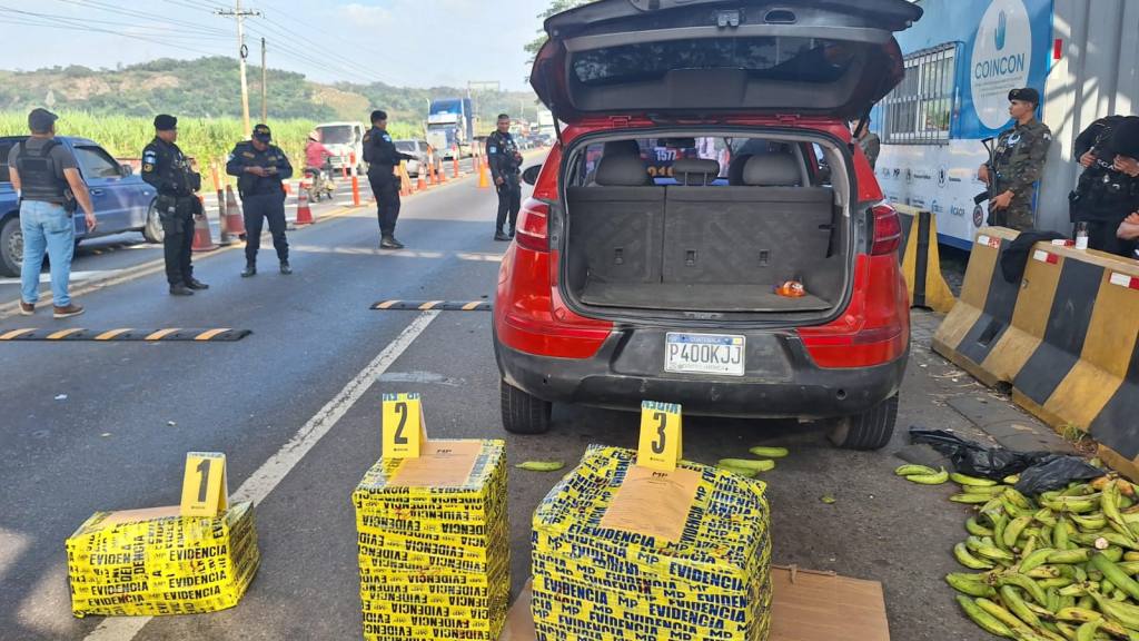 Decomisan 39 kilos de marihuana ocultos entre plátanos | PNC y MP.