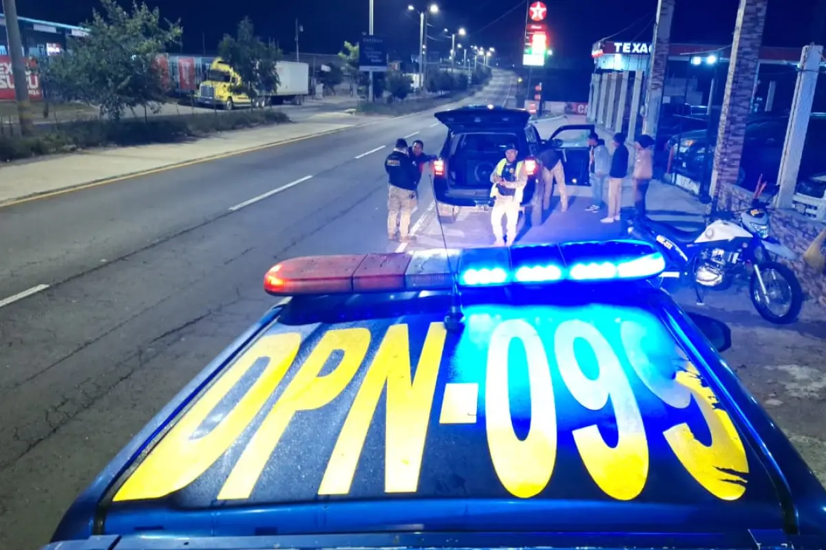 Operativos en el marco del el plan 10-2025 "Protección del Pinabete y Tillandsias"., PNC