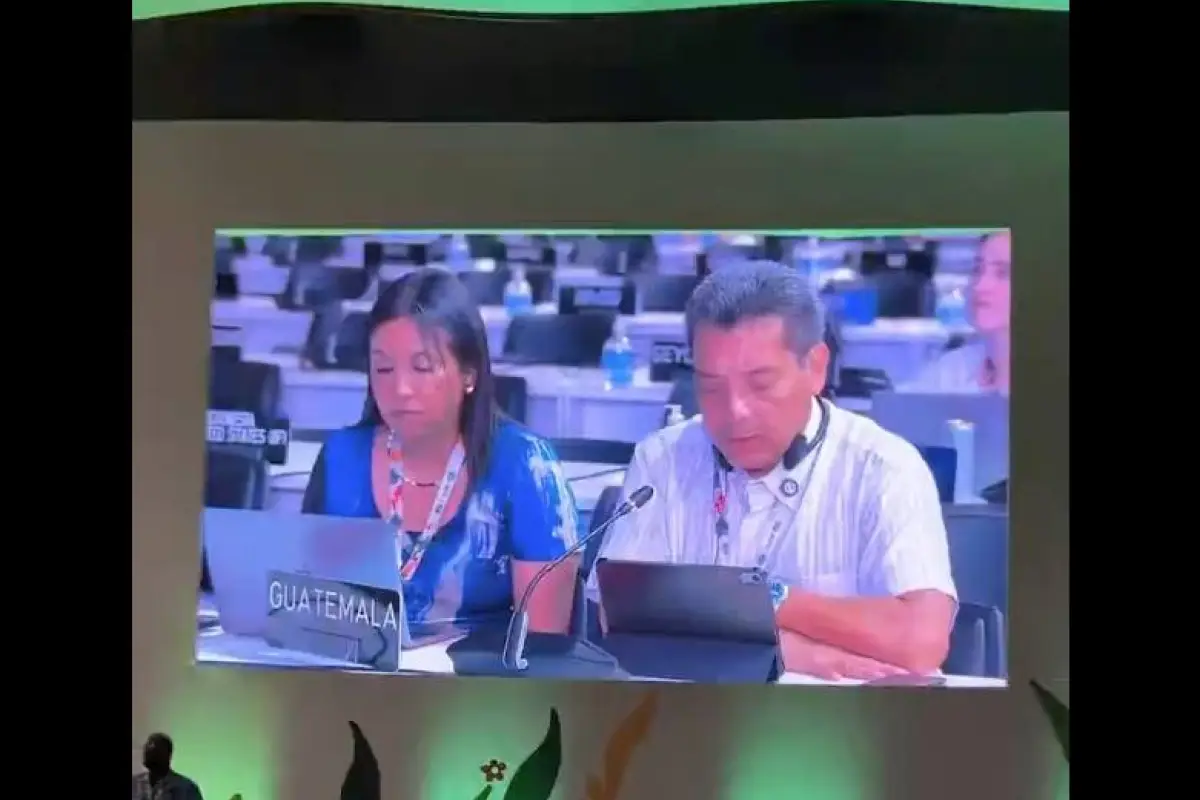 Guatemala continua su participa en la 30.ª Conferencia sobre Cambio Climático (COP30)., Ministerio de Ambiente
