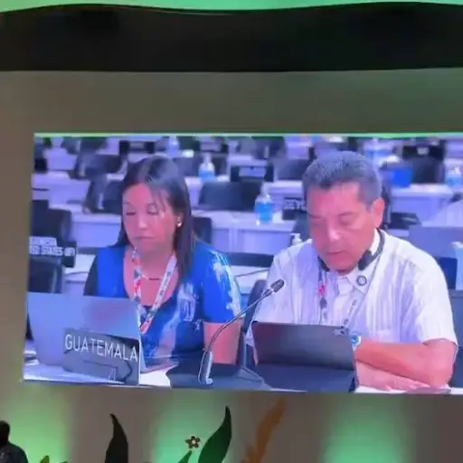 Guatemala continua su participa en la 30.ª Conferencia sobre Cambio Climático (COP30). ,Ministerio de Ambiente
