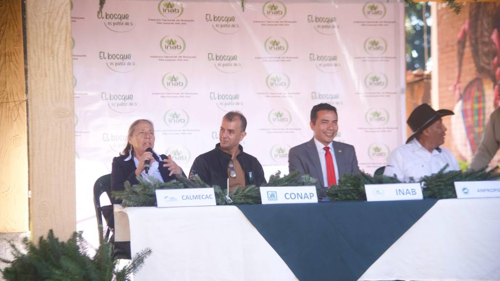 Inauguran las Ferias del Pinabete 2025 | Omar Solís/EU
