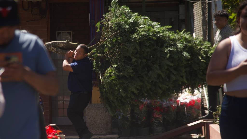 Inauguran las Ferias del Pinabete 2025 | Omar Solís/EU