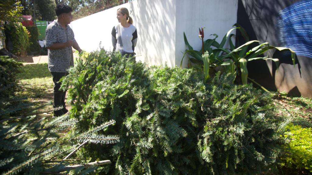 Inauguran las Ferias del Pinabete 2025 | Omar Solís/EU