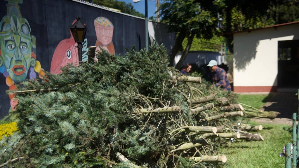 Inauguran las Ferias del Pinabete 2025 | Omar Solís/EU