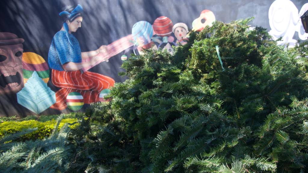 Inauguran las Ferias del Pinabete 2025 | Omar Solís/EU