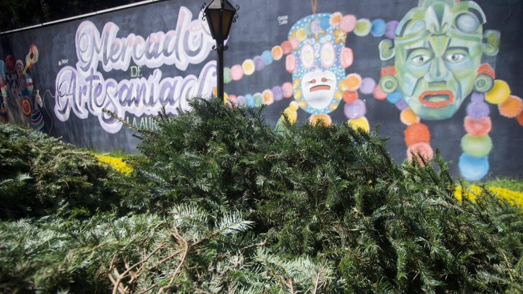 Inauguran las Ferias del Pinabete 2025 | Omar Solís/EU