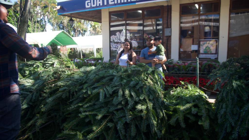 Inauguran las Ferias del Pinabete 2025 | Omar Solís/EU
