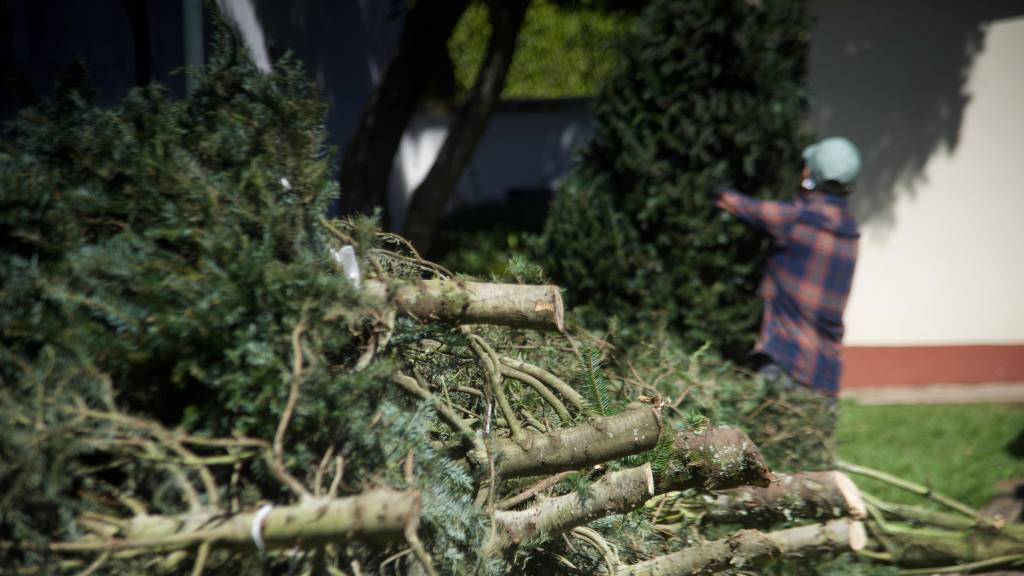 Inauguran las Ferias del Pinabete 2025 | Omar Solís/EU