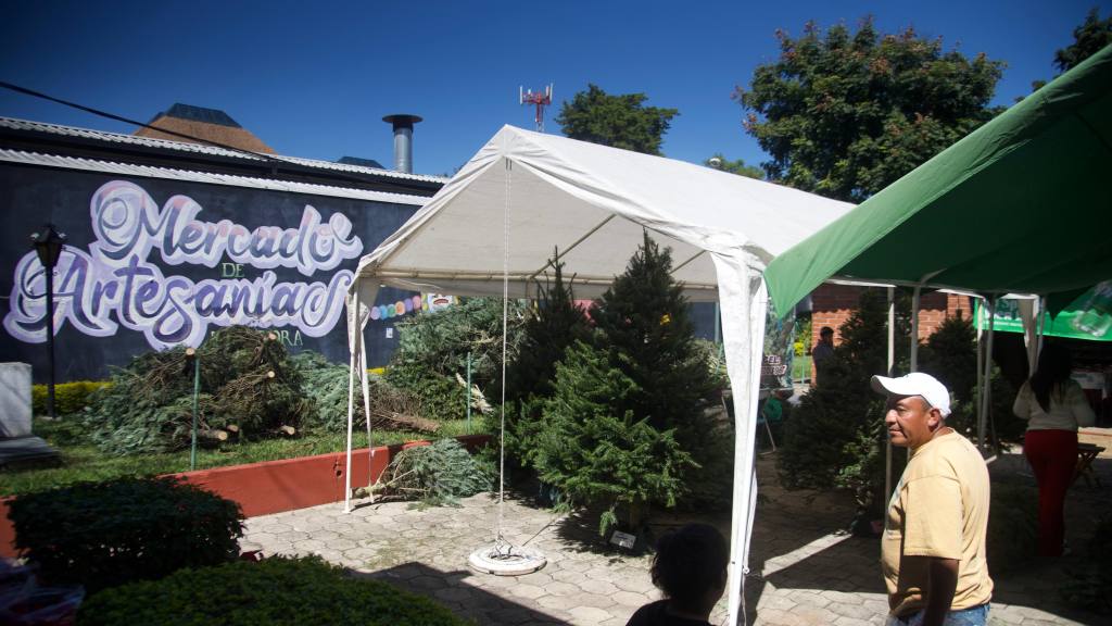 Inauguran las Ferias del Pinabete 2025 | Omar Solís/EU