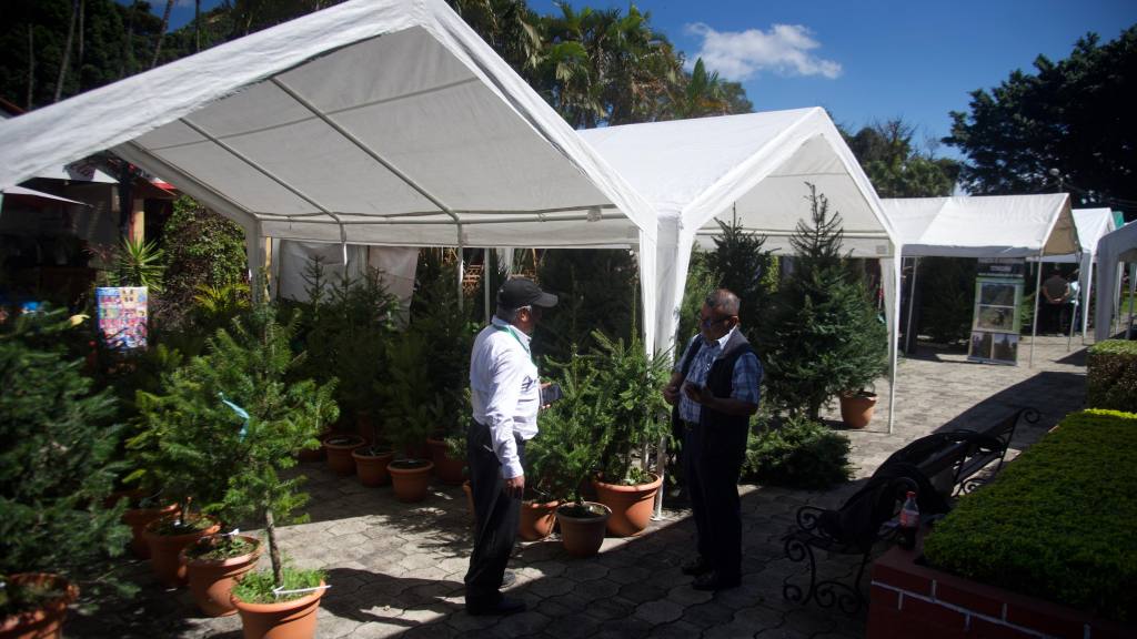 Inauguran las Ferias del Pinabete 2025 | Omar Solís/EU