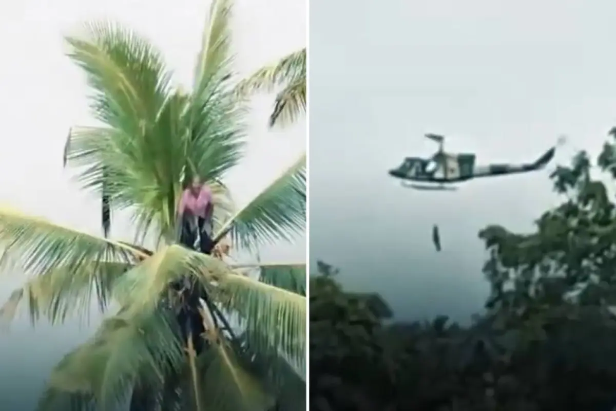 Rescatan a hombre atrapado en palmera por inundaciones en Sri Lanka, Capturas de pantalla de la red social X