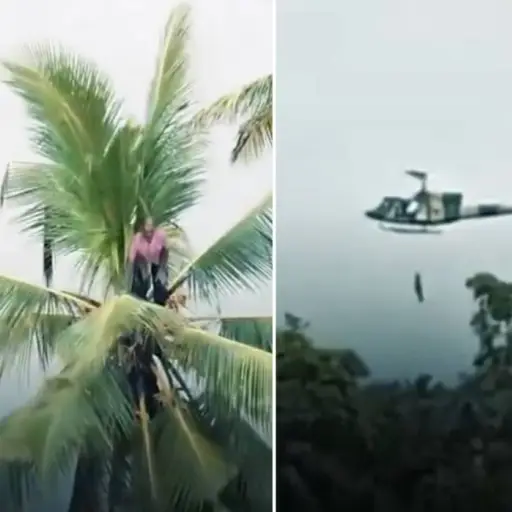 Rescatan a hombre atrapado en palmera por inundaciones en Sri Lanka ,Capturas de pantalla de la red social X