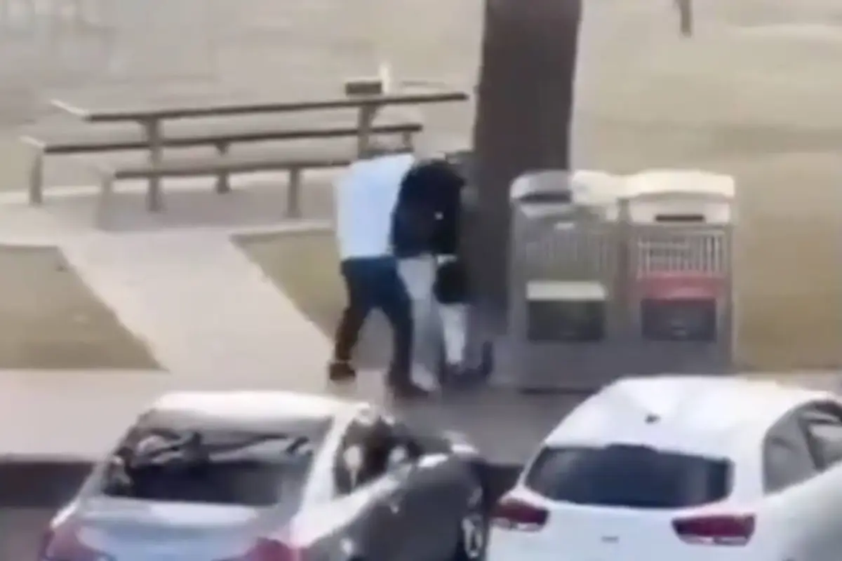 Heroísmo en Australia., Capturan de pantalla video de X.