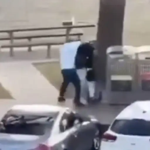 Heroísmo en Australia. ,Capturan de pantalla video de X.