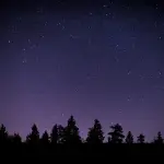 Lluvia de estrellas Gemínidas alcanza su apogeo este fin de semana; ¿cómo verla?t