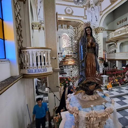 Se espera afluencia masiva para el viernes 12 de diciembre de 2025. ,Omar Solís.