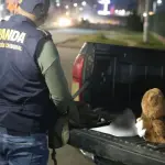 Según las investigaciones, el arma sería entregada a un pandillero del barrio 18. ,PNC de Guatemala.