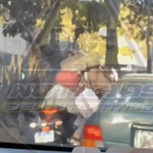 Se van a los golpes en zona 18. ,Captura de pantalla video Facebook.