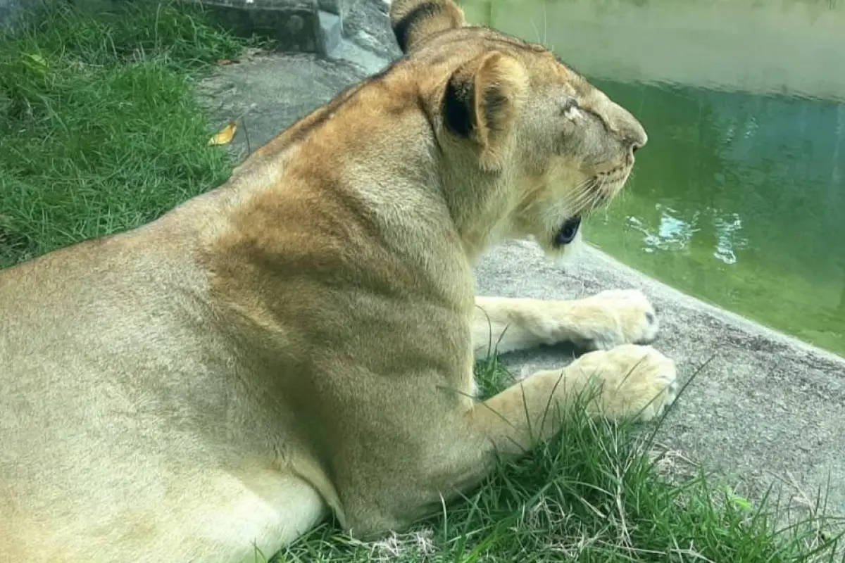 Imagen con fines ilustrativos., Redes sociales.