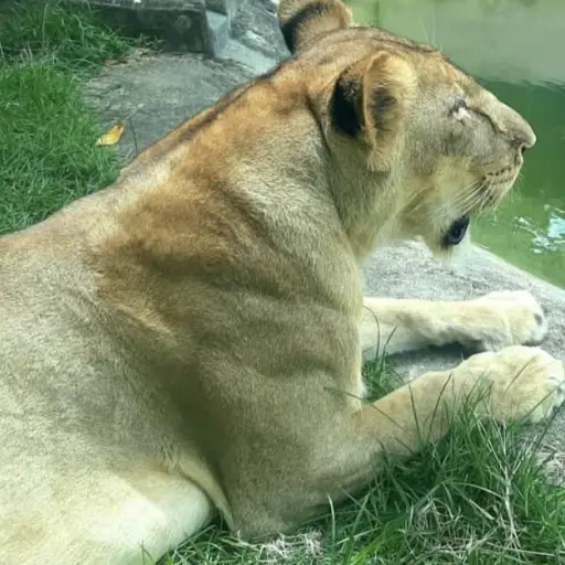 Imagen con fines ilustrativos. ,Redes sociales.