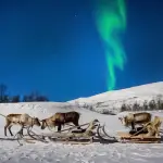 Entre mitos y ciencia: 6 misterios navideños que aún desafían la lógicat