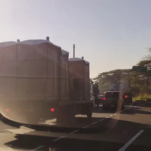 Usuarios de la vía reportaron que la demanda con destino al Puerto San José aumentó este viernes 26 de diciembre. ,IG