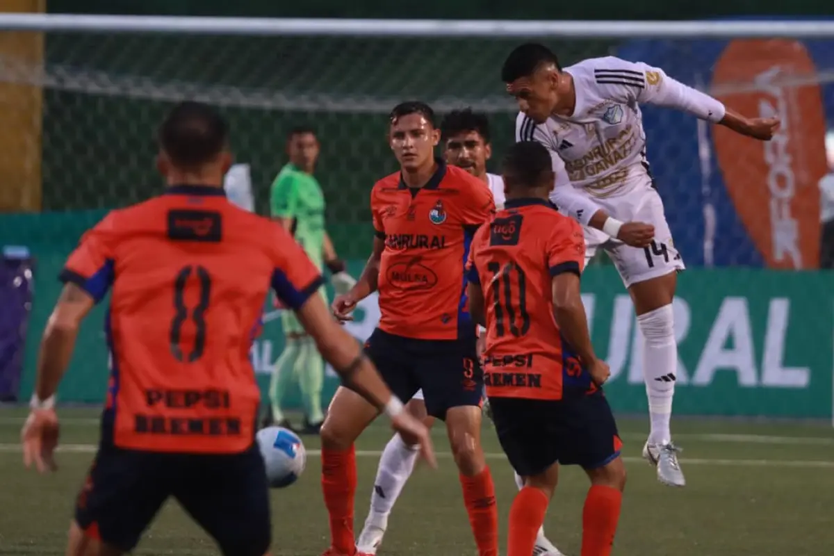 Resumen anual: Municipal y Comunicaciones