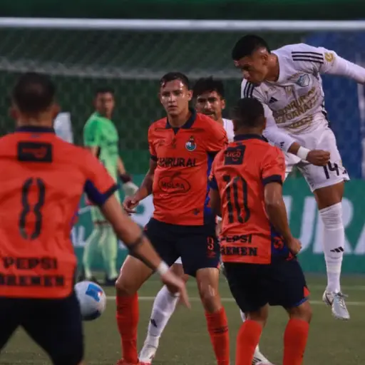 Resumen anual: Municipal y Comunicaciones 