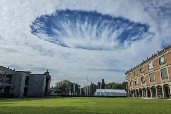 Las cosas más raras que pasaron en 2025 y nos dejaron con cara de ¿qué acabo de ver?