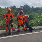Los Bomberos Voluntarios hicieron el trabajo de extracción de 12 cuerpos abandonados en la zona 25. ,Bomberos Voluntarios.