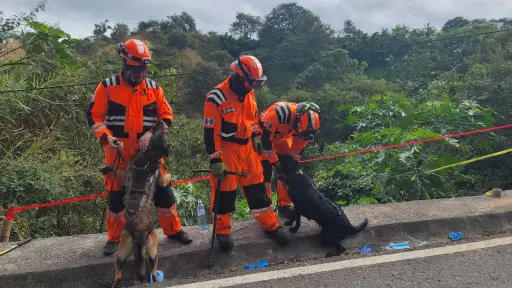 Los Bomberos Voluntarios hicieron el trabajo de extracción de 12 cuerpos abandonados en la zona 25. ,Bomberos Voluntarios.