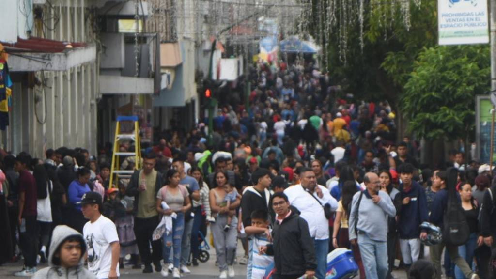 ComprasdeNavidadenlacapital(14) | 