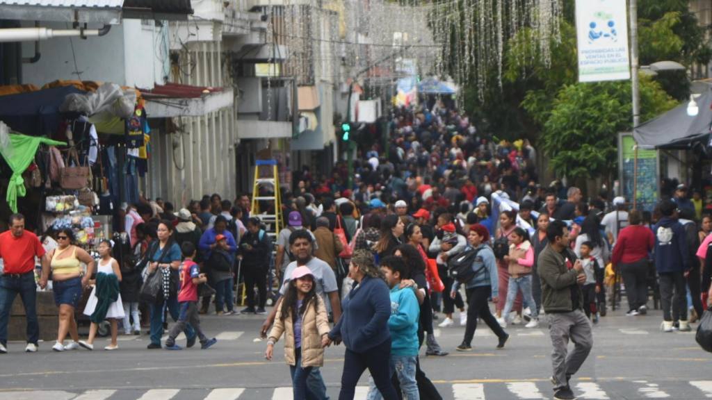 ComprasdeNavidadenlacapital(13) | 