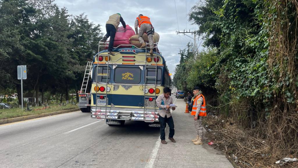 Realizan operativos para evitar traslado de pinabete ilegal | PNC de Guatemala
