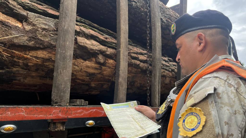 Realizan operativos para evitar traslado de pinabete ilegal | PNC de Guatemala