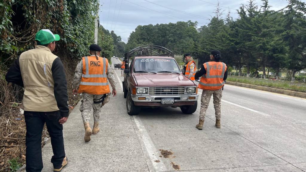 Realizan operativos para evitar traslado de pinabete ilegal | PNC de Guatemala