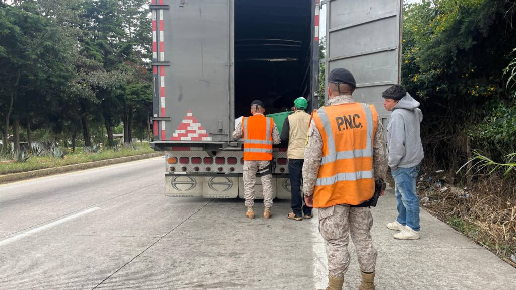 Realizan operativos para evitar traslado de pinabete ilegal | PNC de Guatemala