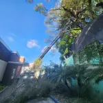 Bomberos Voluntarios tratan de recuperar el cuerpo con equipo especial. ,Foto Bomberos Voluntarios