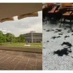 Denuncian desaparición de estudiantes de Usac tras supuesto bautizot